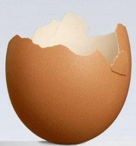 yumurta kabuğu 2
