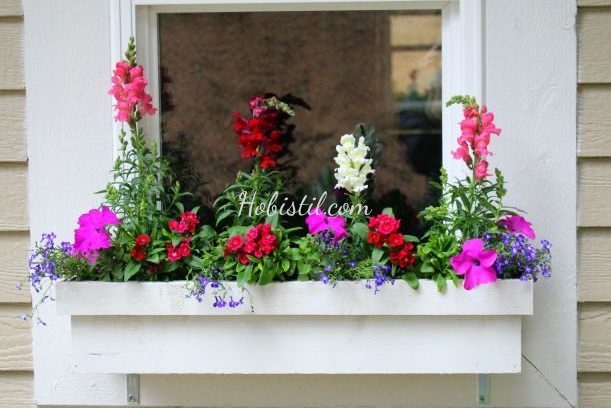 Pencere Çiçek DIY projesi